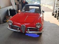 Usata 1973 Alfa Romeo Spider Cabrio | 65.000 €
