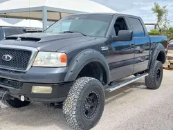 Grigio Usata 2004 Ford F-150 Pick-up | 25.900 €