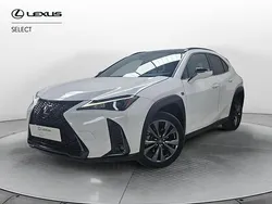 Grigio Usata 2024 Lexus UX 300e SUV | 31.800 €