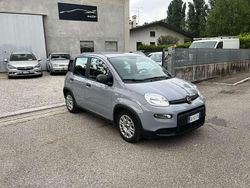 Marrone Usata 2022 Fiat Panda Red Tre volumi | 9500 € (Buon prezzo)