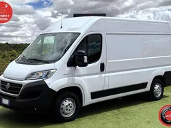 Bianco Usata 2019 Fiat Ducato Furgone | 14.500 € (Ottimo prezzo)