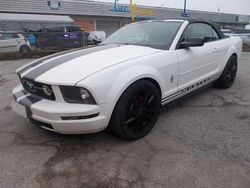 Bianco Usata 2005 Ford Mustang Convertible Cabrio | 22.001 €
