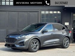 Grigio Usata 2024 Ford Kuga ST-Line SUV | 22.990 € (Ottimo prezzo)