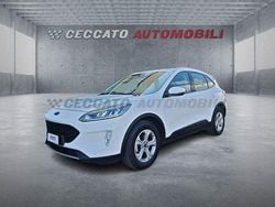 Bianco Usata 2021 Ford Kuga SUV | 16.289 € (Super prezzo)