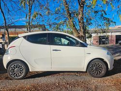 Bianco Usata 2017 Lancia Ypsilon Due volumi | 7800 € (Ottimo prezzo)