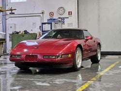 Usata 1994 Chevrolet Corvette C4 Cabrio | 19.000 €