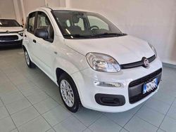 Bianco pastello Usata 2020 Fiat Panda Tre volumi | 10.890 € (Cara)