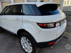 Bianco Usata 2017 Land Rover Range Rover evoque SUV | 19.000 € (Cara)