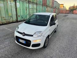 Bianco Usata 2016 Fiat Panda Easy Due volumi | 6500 € (Buon prezzo)