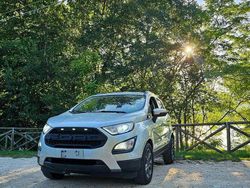 Usata 2018 Ford Ecosport Titanium S SUV | 13.500 € (Cara)