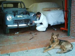 Usata 1950 Fiat 1400 Tre volumi | 14.000 €
