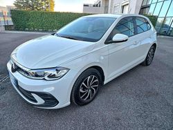Ascot grey Usata 2023 VW Polo Life Tre volumi | 16.700 € (Buon prezzo)