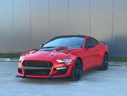 Rosso pastello Usata 2020 Ford Mustang Fastback Coupé | 36.400 € (Buon prezzo)