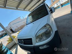 Bianco Usata 2009 Fiat Doblò Monovolume | 5500 € (Buon prezzo)