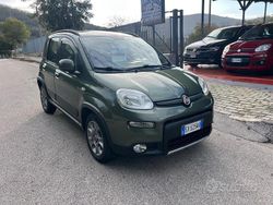 Verde Usata 2014 Fiat Panda Trekking Tre volumi | 4999 € (Cara)
