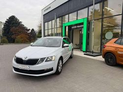 Bianco Usata 2020 Skoda Octavia G-TEC Executive Station wagon | 14.500 € (Buon prezzo)