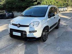 Bianco Usata 2021 Fiat Panda City Life Due volumi | 9500 € (Buon prezzo)