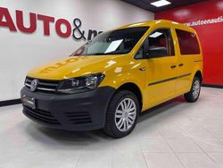 Giallo(met.) Usata 2019 VW Caddy Trendline Monovolume | 17.000 € (Ottimo prezzo)