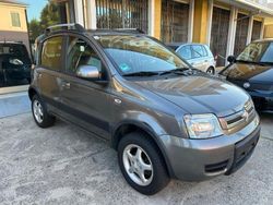 Grigio Usata 2011 Fiat Panda 4x4 Climbing Due volumi | 6300 € (Buon prezzo)