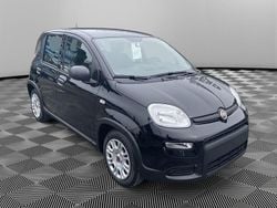 Nero Usata 2024 Fiat Panda S Due volumi | 14.300 € (Cara)