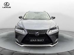 Grigio Usata 2022 Lexus NX300h SUV | 31.900 € (Buon prezzo)