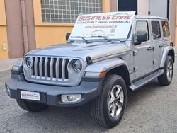 Billet silver Usata 2020 Jeep Wrangler Sahara SUV | 41.900 € (Super prezzo)