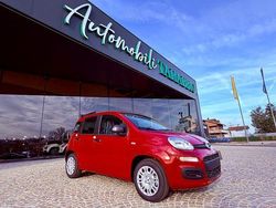 Rosso Nuova 2025 Fiat Panda Icon Tre volumi | 14.650 €