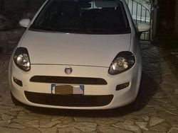 Bianco Usata 2012 Fiat Punto Due volumi | 5500 € (Cara)