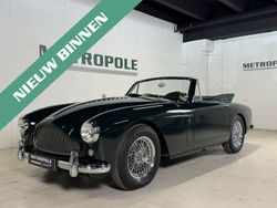 Verde Usata 1959 Aston Martin DB2/4 Cabrio | 399.000 €