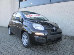 Nero cinema pastello Nuova 2025 Fiat Grande Panda Icon Due volumi | 15.000 € (Buon prezzo)