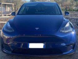 Blu/azzurro Usata 2022 Tesla Model Y RWD SUV | 36.000 € (Cara)
