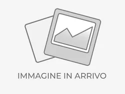 Bianco Usata 2022 BMW X3 M Sport SUV | 37.900 € (Buon prezzo)