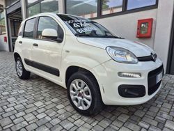 Bianco Usata 2020 Fiat Panda 4x4 Pop Due volumi | 8900 € (Super prezzo)