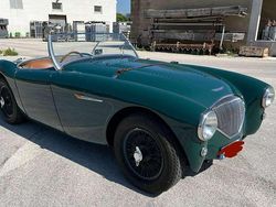 Verde Usata 1953 Austin-Healey 100 Cabrio | 80.000 €