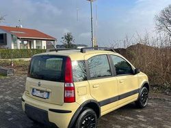 Usata 2007 Fiat Panda 4x4 Due volumi | 4000 €