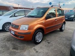 Arancione Usata 2008 Fiat Panda Dynamic Tre volumi | 3300 € (Ottimo prezzo)