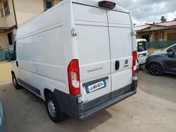 Bianco Usata 2019 Fiat Ducato 33 Furgone | 12.850 € (Ottimo prezzo)