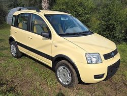 Usata 2006 Fiat Panda 4x4 Climbing Due volumi | 5990 €
