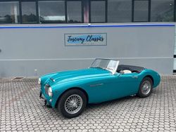 Verde Usata 1957 Austin Healey 100/6 Cabrio | 70.000 €