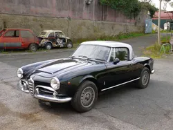 Alfa Romeo Giulia Spider