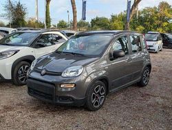 Grigio Usata 2022 Fiat Panda Due volumi | 10.200 € (Buon prezzo)