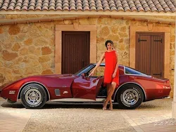 Usata 1980 Corvette C3 | 29.999 €
