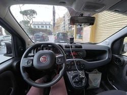 Grigio Usata 2019 Fiat Panda 4x4 S Due volumi | 12.999 € (Buon prezzo)