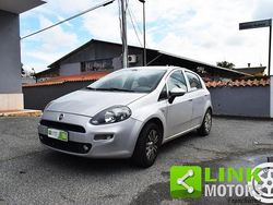 Grigio Usata 2016 Fiat Punto Street | 5800 € (Buon prezzo)