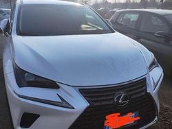 Usata 2019 Lexus NX300h Executive Line SUV | 19.000 € (Super prezzo)