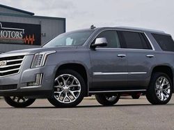 Usata 2016 Cadillac Escalade Station wagon | 46.000 €