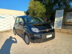 Nero Usata 2024 Fiat Panda Due volumi | 11.950 € (Buon prezzo)