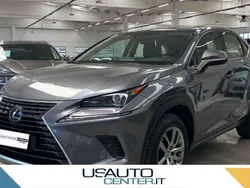 Grigio Usata 2020 Lexus NX300h Luxury Line SUV | 29.900 € (Buon prezzo)