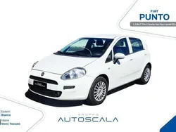 Bianco Usata 2013 Fiat Punto Pop Due volumi | 3490 € (Ottimo prezzo)