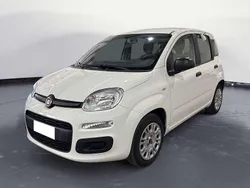 Bianco Usata 2021 Fiat Panda Due volumi | 10.900 € (Buon prezzo)